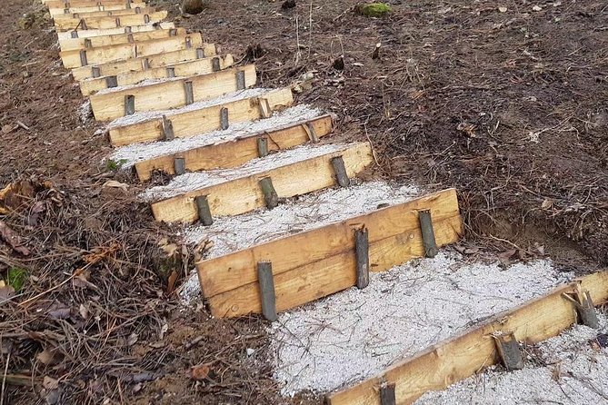 Ancient Bosnian Pyramid of the Sun - What you’ll walk away with, besides photos