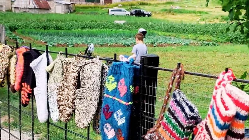 Bosnia's Nomad Havens: Lukomir & Umoljani - Umoljani: Traditional Village Life, Architecture Details, and Craft Skills