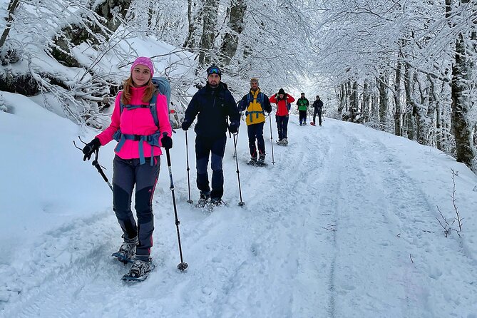 Experience Snowshoeing in Olympic Mountain Bjelašnica - Why Bjelašnica snowshoeing fits Sarajevo so well