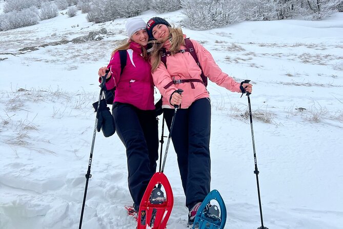Experience Snowshoeing in Olympic Mountain Bjelašnica - Group size and pace: how crowded it feels and how long you’re actually walking