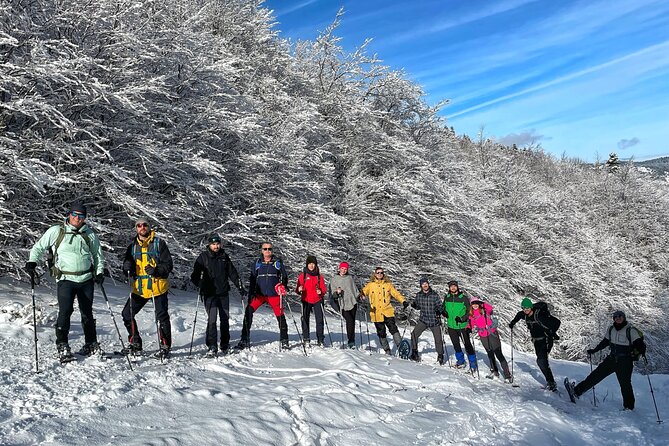 Experience Snowshoeing in Olympic Mountain Bjelašnica - Price and what you really get for $95.31