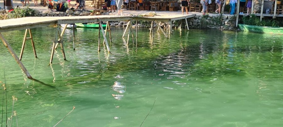 From Dubrovnik: Mostar and Kravica Waterfall Day Trip - Should you book this Dubrovnik to Mostar and Kravica day trip?