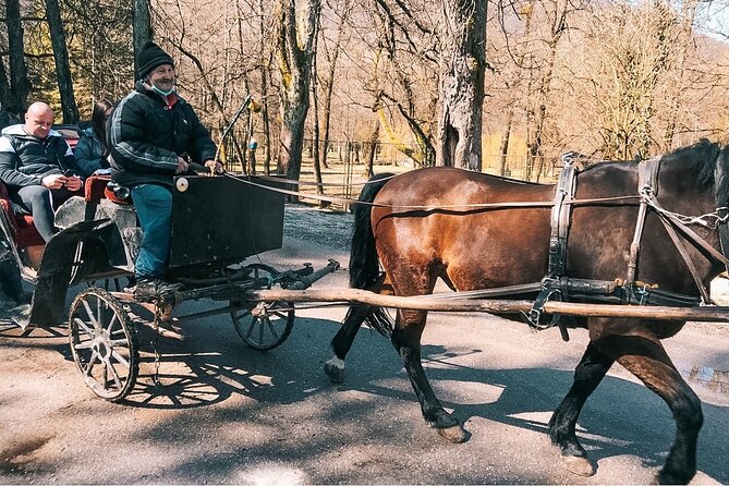 From Sarajevo: Bijambare Cave and Spring of River Bosna Tour - Price and value: what you get for about $49.30, and what costs extra