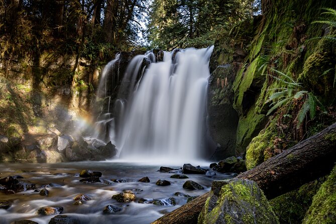 From Sarajevo: Kozice Waterfalls Hiking Experience in Nature - Key highlights you will feel right away
