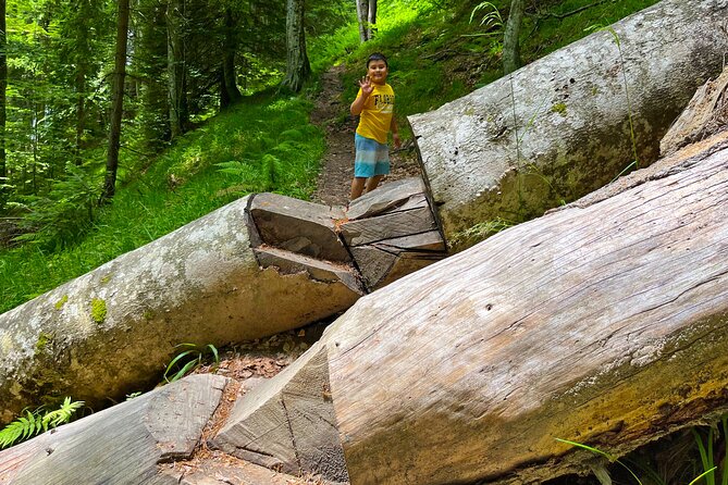 From Sarajevo: Kozice Waterfalls Hiking Experience in Nature - Price and value: is $90 worth it?