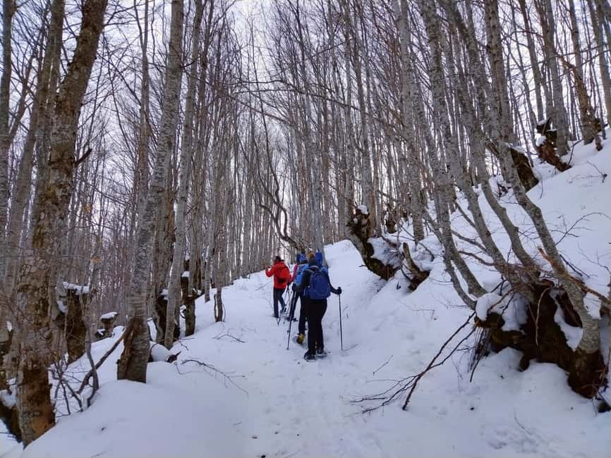 From Sarajevo: Mount Jahorina Snowshoeing Tour - Who This Jahorina Snowshoe Tour Is Best For