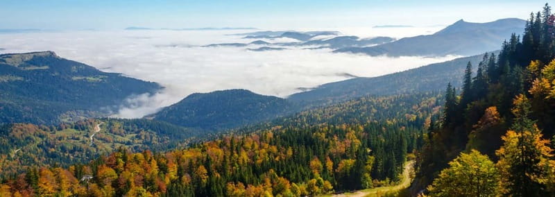 From Sarajevo: Olympic Mountains Private Trip - Value check: is $94 per person a smart use of your Sarajevo time?