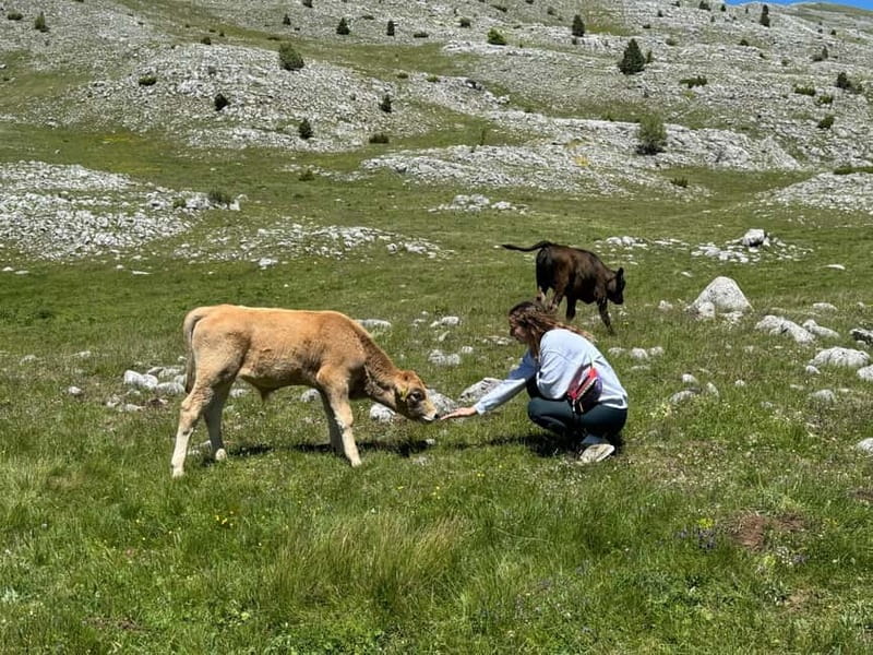 From Sarajevo: Private Lukomir Village 4x4 Safari - Price and Value: $235 for a Private Day That Makes Sense