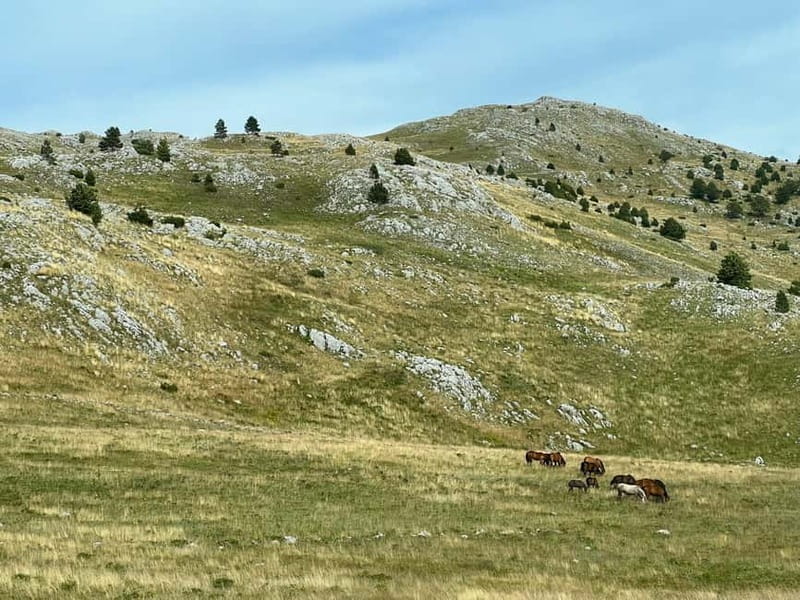 Hiking around Sarajevo: Lukomir Village Full Day Hiking Tour - Why Lukomir is worth the long day from Sarajevo