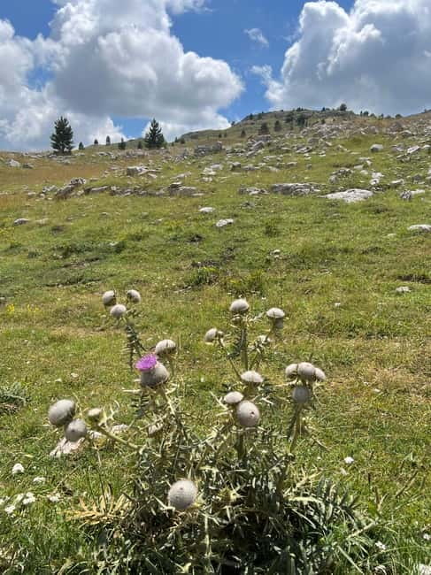 Hiking around Sarajevo: Lukomir Village Full Day Hiking Tour - Lunch and Bosnian coffee: what you’re actually buying with that “food option”