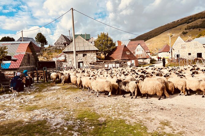 LUKOMIR VILLAGE HIKE & TREK TOUR (nature, hike, food & panorama) - Studeni Potok trek to Lukomir: the main 3 hours you will feel