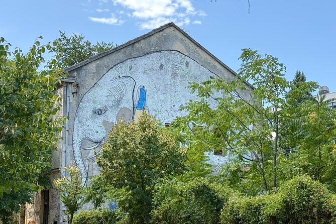 Mostar Street Art & Graffiti Tour - Price and value: why $36.01 can make sense here