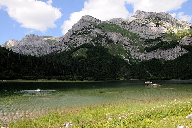 Mystical Sutjeska National Park - The Main Stop in Sutjeska: Perućica and the Walking Options