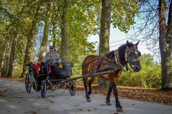 Private Carriage Ride in Vrelo Bosne Nature Park - Key highlights to know before you go