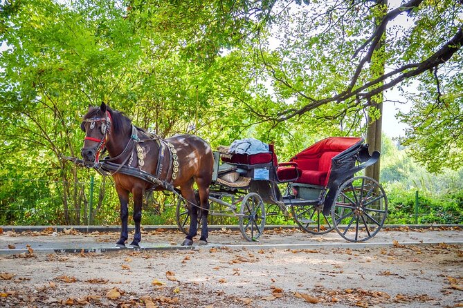Private Carriage Ride in Vrelo Bosne Nature Park - Why the Great Alley carriage ride feels like Sarajevo at walking speed