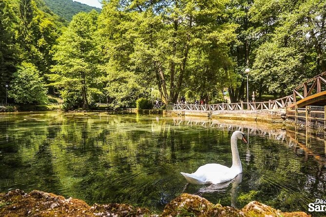 Private Carriage Ride in Vrelo Bosne Nature Park - Stop at Vrelo Bosne: how to make the visit feel worth the carriage ride