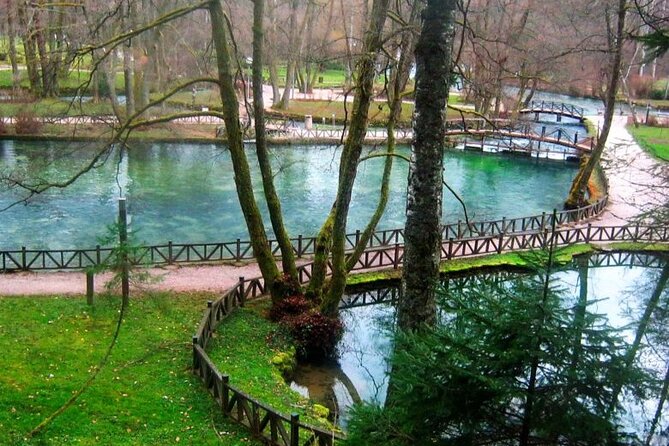 Private Carriage Ride in Vrelo Bosne Nature Park - The return ride: same alley, different light