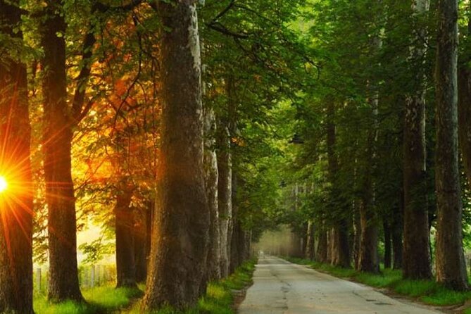 Private Carriage Ride in Vrelo Bosne Nature Park - Private carriage value in Sarajevo: who this suits best