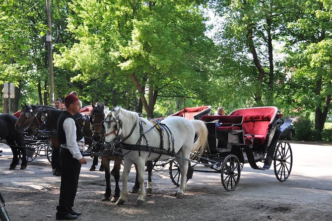 Private Carriage Ride in Vrelo Bosne Nature Park - Price and included extras: what $95.78 covers, and what it doesn’t
