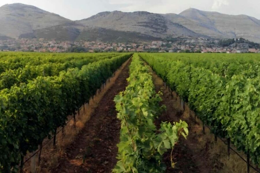 Private Day Trip to Bosnia,Wine,Culture & Local Lunch/Dinner - Tvrdoš Monastery wine tasting of Vranac and Žilavka