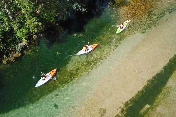 Safari kayak adventure w BBQ & Beer - Key things to know before you paddle