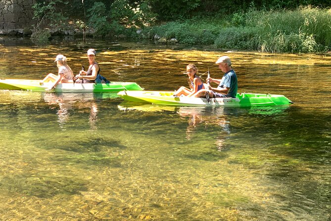 Safari kayak adventure w BBQ & Beer - Price and value: why $52.68 can make sense here