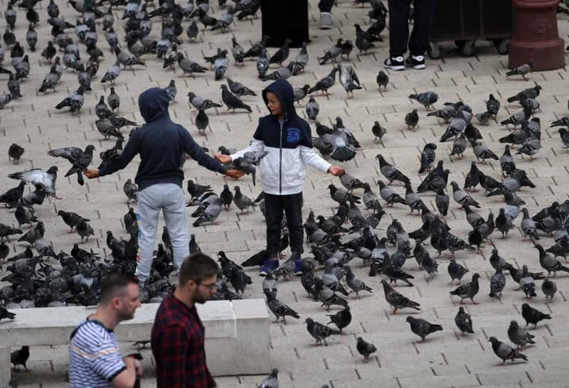 Sarajevo: Best of Sarajevo – Ultimate Full-Day Experience - Price and Value: What $81 Really Buys, and What Costs Extra