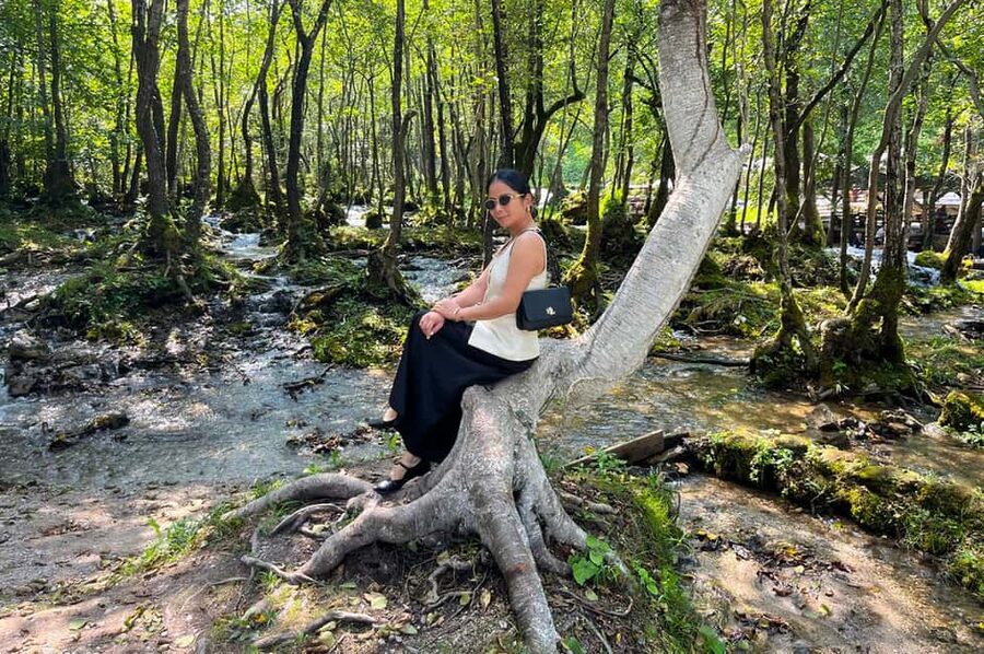 Sarajevo: Jajce Waterfall, Travnik & Pliva Lake Tour - Price and Logistics: Does This $65 Ticket Make Sense?