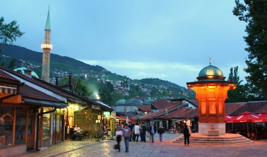 Sarajevo Private Full-Day Excursion from Dubrovnik - Latin Bridge and the City Hall Area: Big-Feel Sarajevo in One Walk