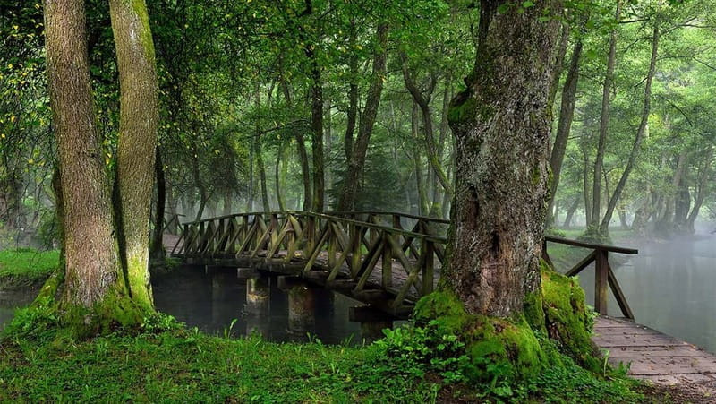 Sarajevo: Vrelo Bosne Nature Park Private Tour - Getting Out of Sarajevo: Ilidza and the Scenic Drive
