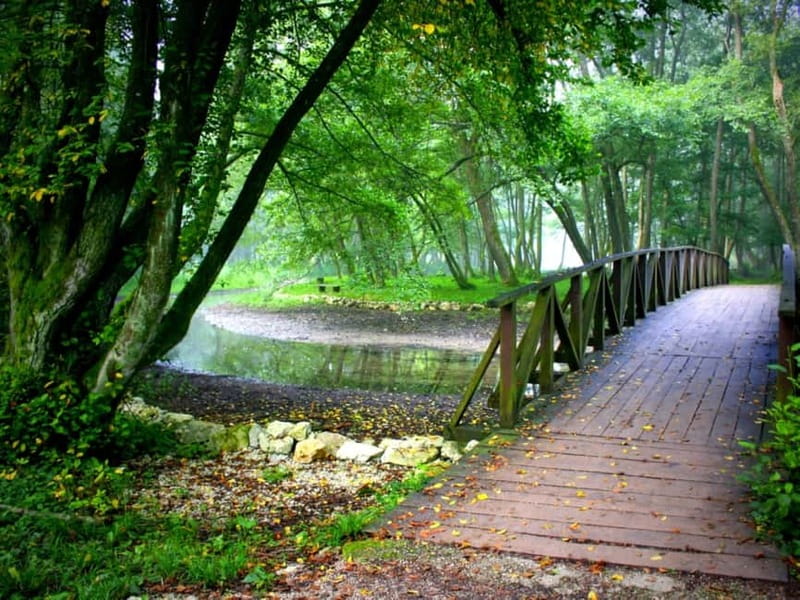 Sarajevo: Vrelo Bosne Nature Park Private Tour - Break Time, Photos, Coffee, Lunch, and Free Time