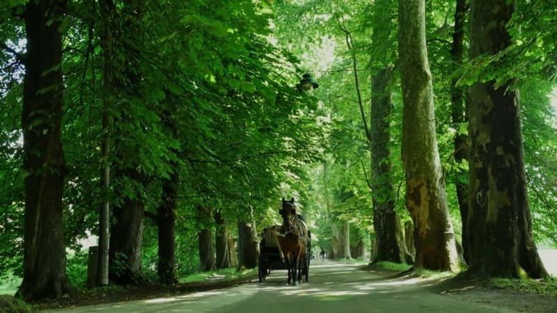 Sarajevo: Vrelo Bosne Nature Park Private Tour - Your Guide Matters, Especially in a Small Group