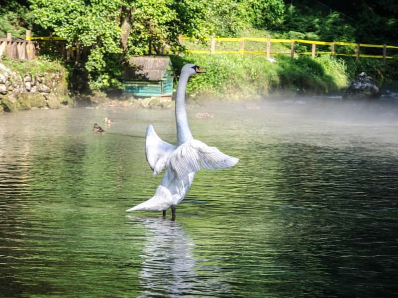 Sarajevo: Vrelo Bosne Nature Park Private Tour - Practical Tips Before You Go