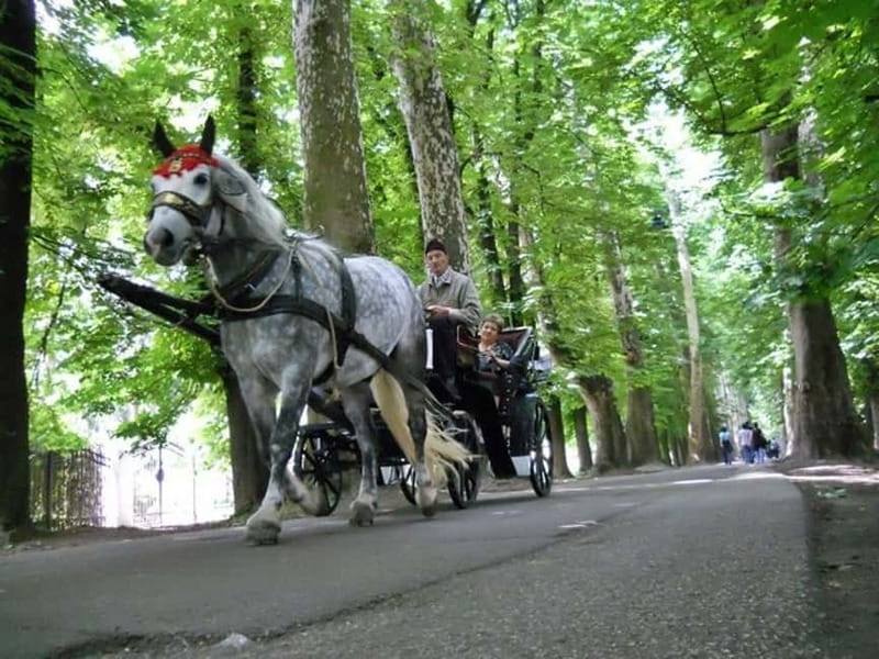 Sarajevo: Vrelo Bosne Nature Park Private Tour - Velika Aleja Horse-Drawn Carriage for a Slower Pace