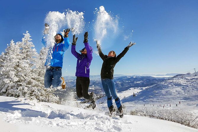 Skiing at Jahorina Olympic Mountain – Full Day Tour from Sarajevo - Your afternoon on the beginner-friendly slopes
